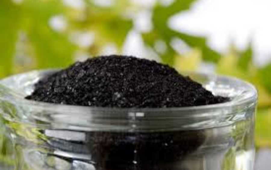 Vai Trò Axit Humic Trong Nông Nghiệp Bền Vững 2026
