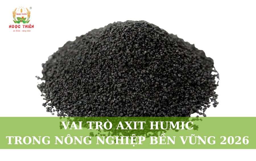 Vai Trò Axit Humic Trong Nông Nghiệp Bền Vững 2026