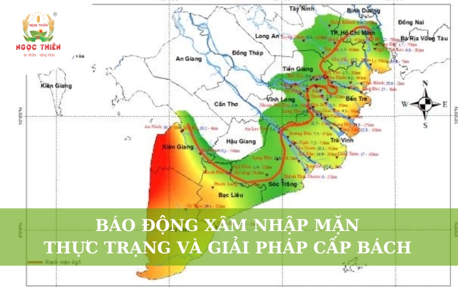 Báo Động Xâm Nhập Mặn: Thực Trạng Và Giải Pháp Cấp Bách