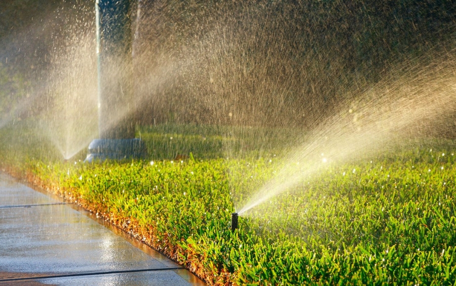 Tưới Tự Động Thông Minh: Giải Pháp Tiết Kiệm Công Chăm