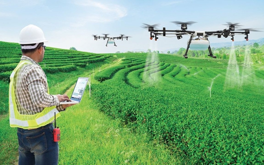 Nông Nghiệp 4.0 Việt Nam: Chuyển Đổi Số 