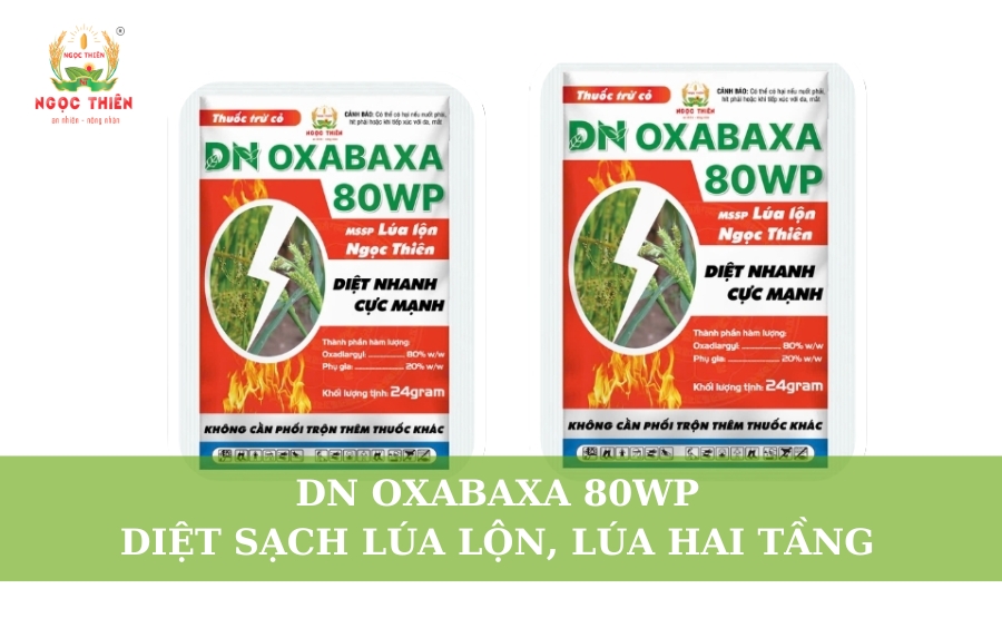 DN OXABAXA 80WP: Diệt Sạch Lúa Lộn, Lúa Hai Tầng