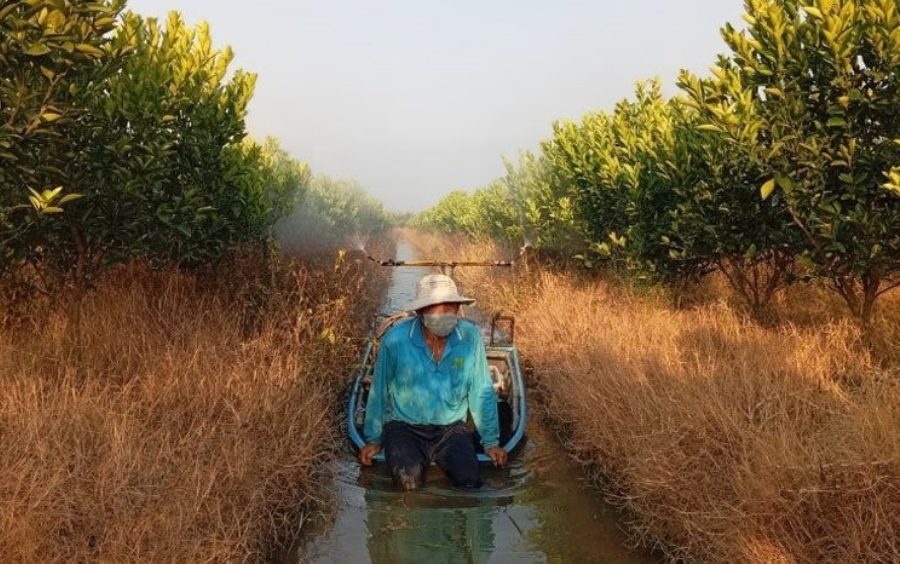 Chống Sốc Nhiệt Cây Trồng: Bảo Vệ Vườn Cây Trước Nắng Nóng