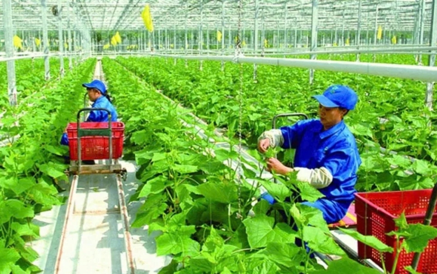 Đối Tác Ngọc Thiên: Cơ Hội Hợp Tác Kinh Doanh VTNN Uy Tín