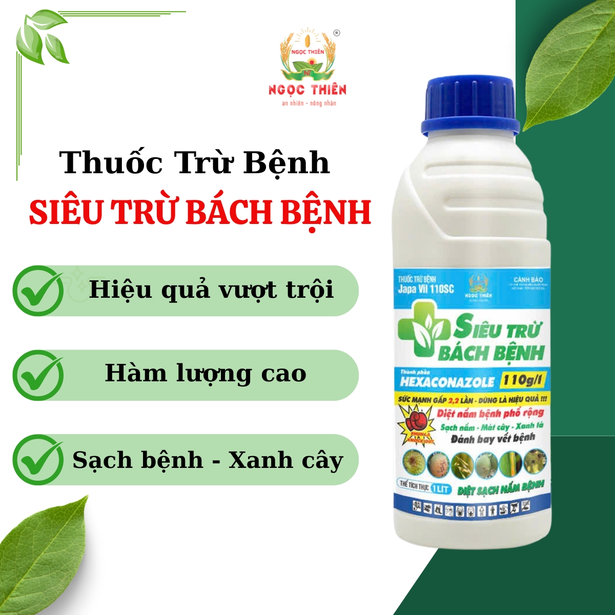 Tru-Benh-Sieu-Tru-bach-Benh Trừ Bệnh Siêu Trừ Bách Bệnh