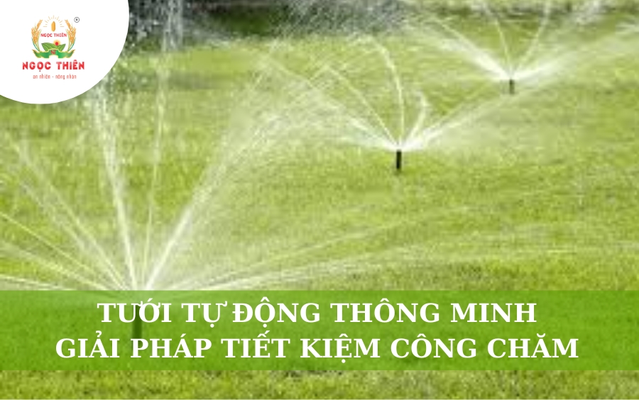 Tưới Tự Động Thông Minh: Giải Pháp Tiết Kiệm Công Chăm