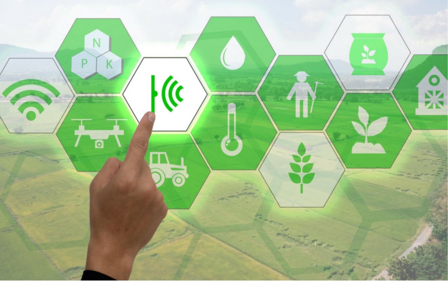 Nông Nghiệp 4.0 Việt Nam: Chuyển Đổi Số 