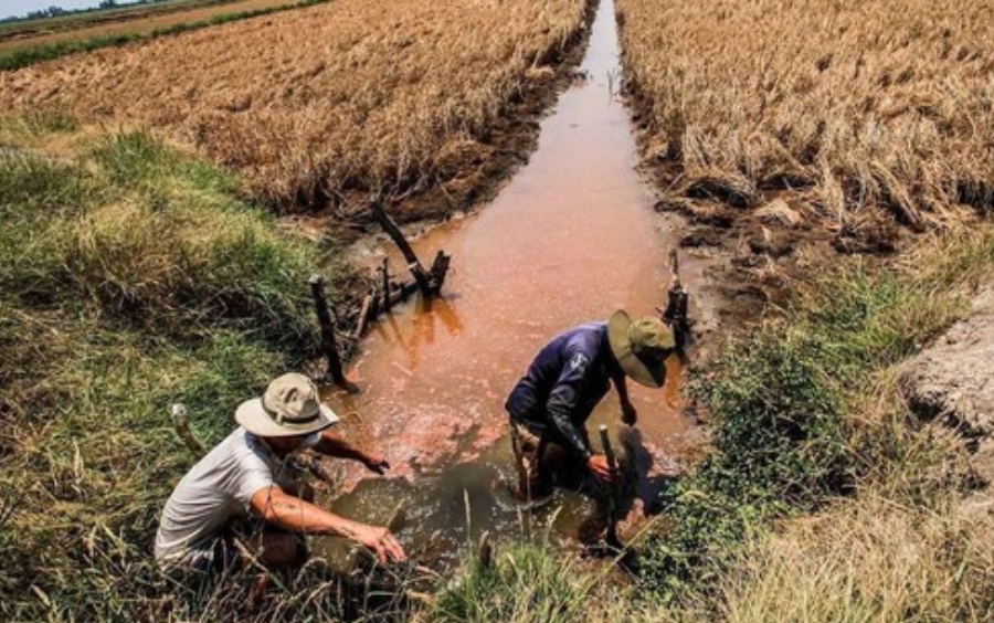 Báo Động Xâm Nhập Mặn: Thực Trạng Và Giải Pháp Cấp Bách