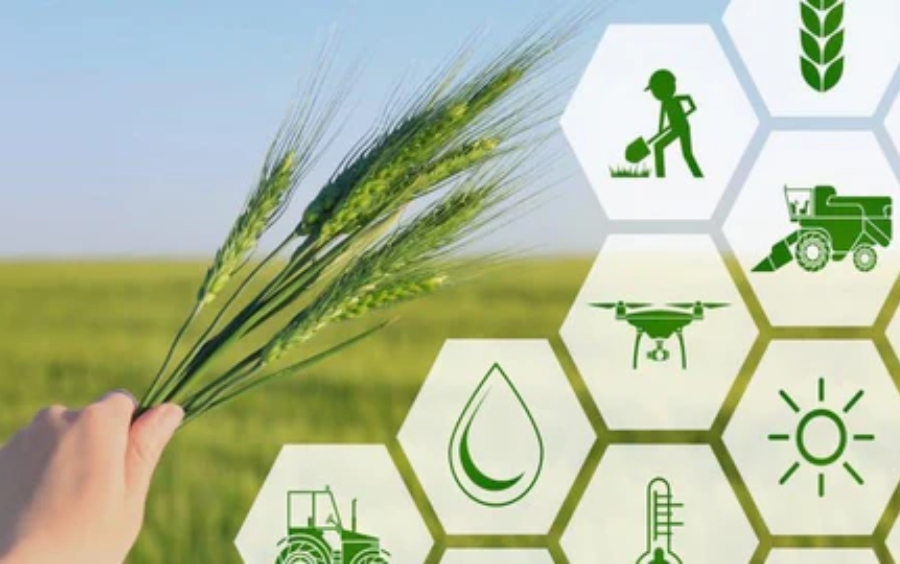 Xu Hướng Nông Nghiệp Xanh 2026: Chìa Khóa Phát Triển