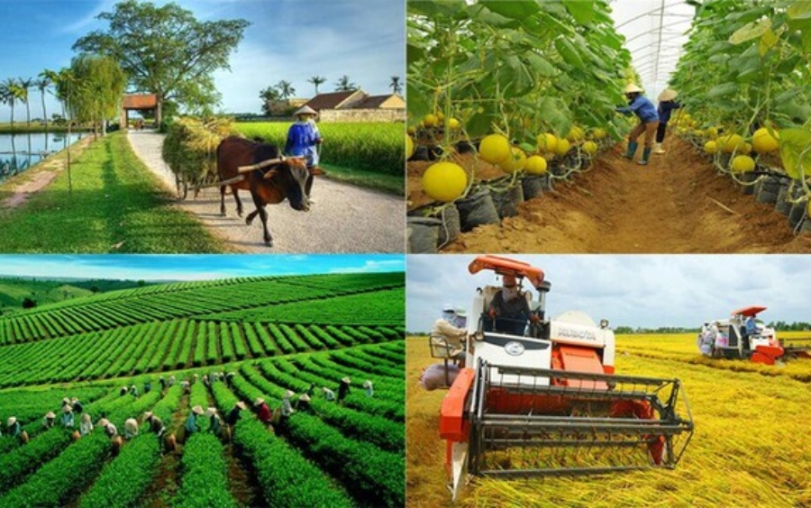 Cây Sốc Nhiệt: Nguyên Nhân, Dấu Hiệu Và Giải Pháp