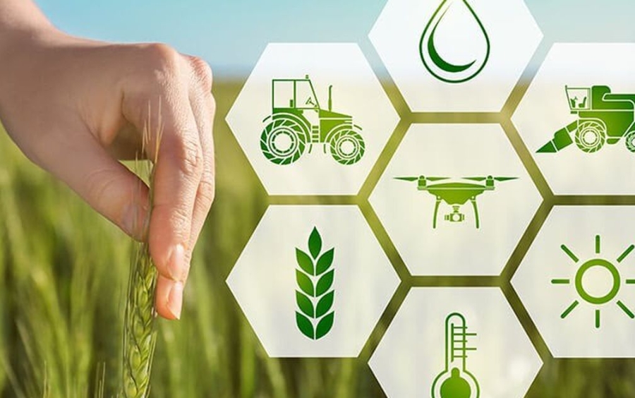 Canh Tác Thông Minh: Giải Pháp Cho Nông Nghiệp Hiện Đại