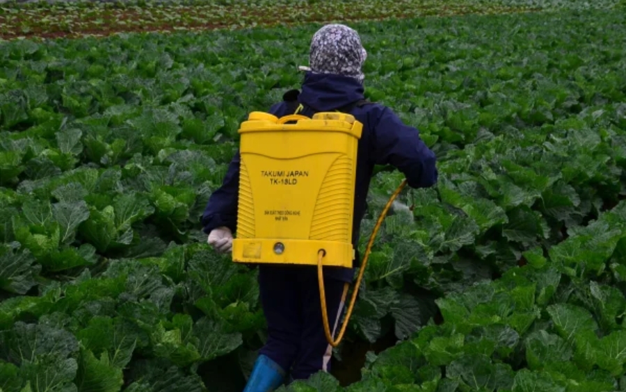 Hoạt chất Chlorantraniliprole: Giải Pháp Kiểm Soát Sâu Hại