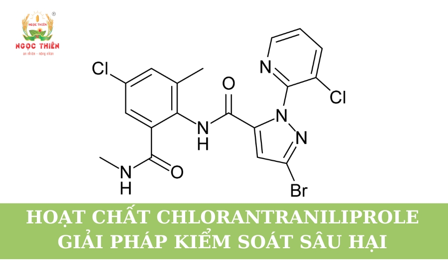 Hoạt chất Chlorantraniliprole: Giải Pháp Kiểm Soát Sâu Hại