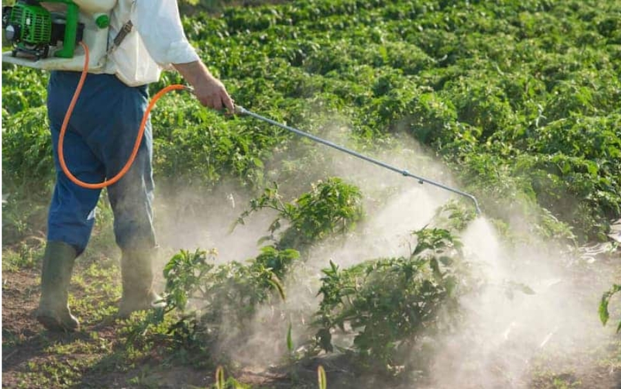 Nguồn Hàng Phân Thuốc Giá Sỉ: Giải Pháp Tối Ưu Lợi Nhuận