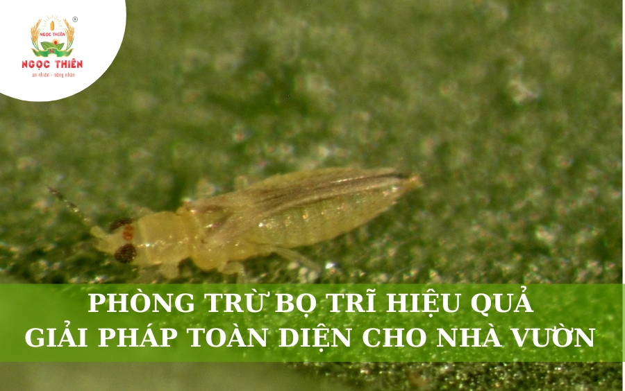 Phòng Trừ Bọ Trĩ Hiệu Quả: Giải Pháp Toàn Diện Cho Nhà Vườn
