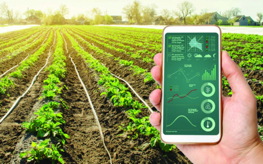 Canh Tác Thông Minh: Giải Pháp Cho Nông Nghiệp Hiện Đại