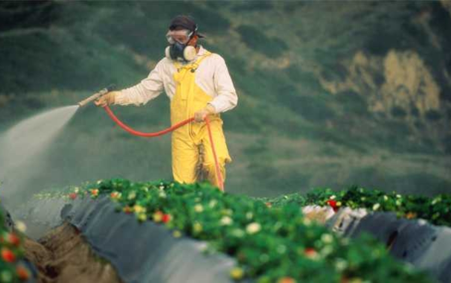 Hoạt chất Chlorantraniliprole: Giải Pháp Kiểm Soát Sâu Hại