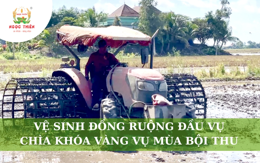 Vệ Sinh Đồng Ruộng Đầu Vụ: Chìa Khóa Vàng Vụ Mùa Bội Thu