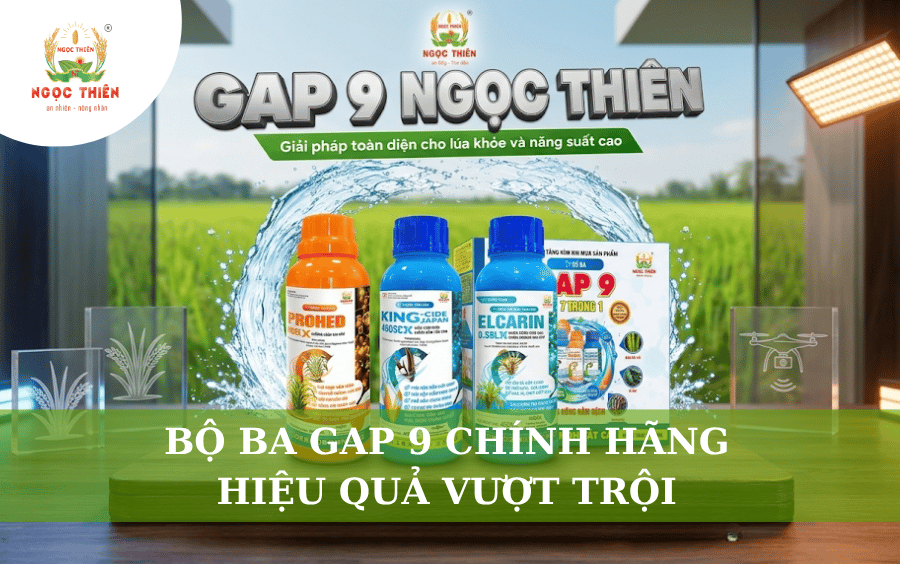 Bộ Ba GAP 9 Chính Hàng - Hiệu Quả Vượt Trội