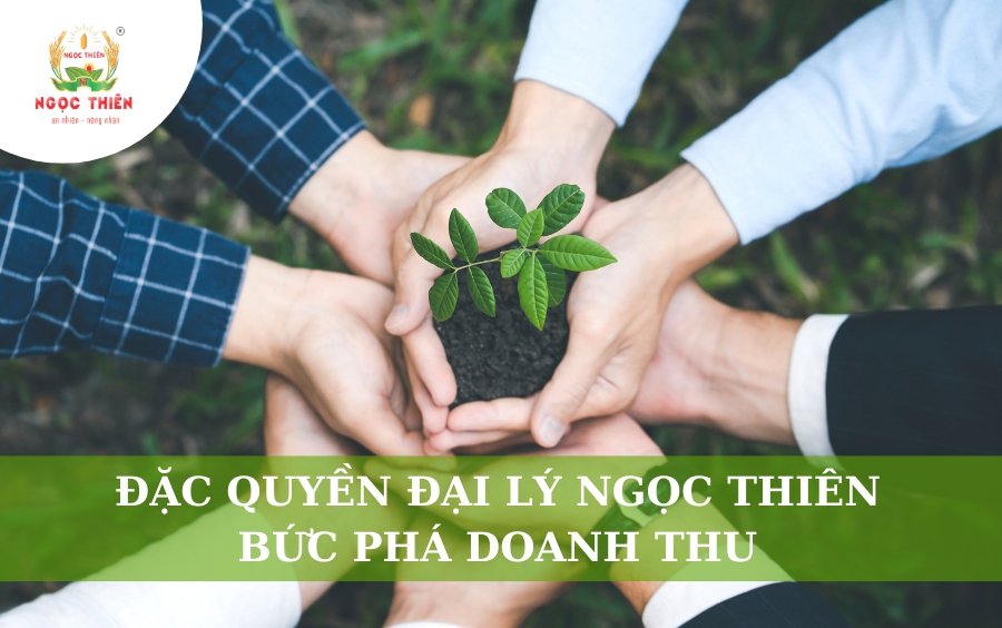 Đặc Quyền Đại Lý Ngọc Thiên: Bứt Phá Doanh Thu