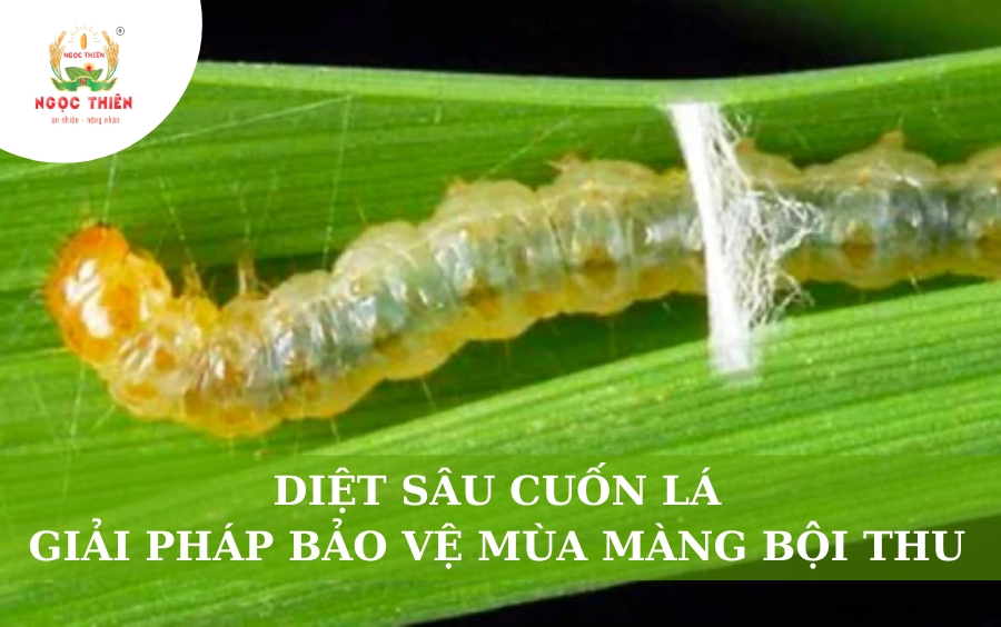 Diệt Sâu Cuốn Lá: Giải Pháp Bảo Vệ Mùa Màng Bội Thu