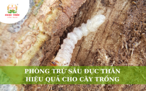 Phòng Trừ Sâu Đục Thân Hiệu Quả Cho Cây Trồng