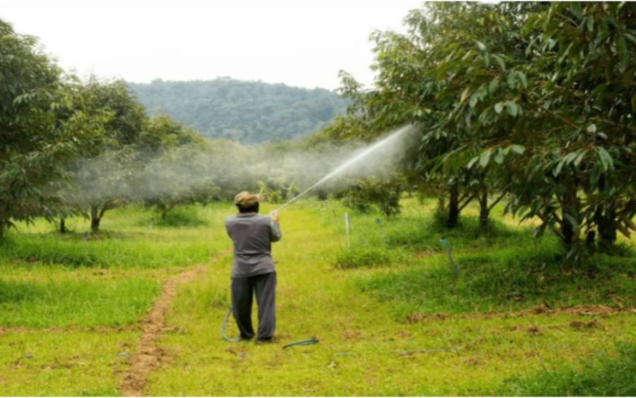 Chất Bám Dính Cho Cây Trồng: Tăng Hiệu Quả Phun Thuốc
