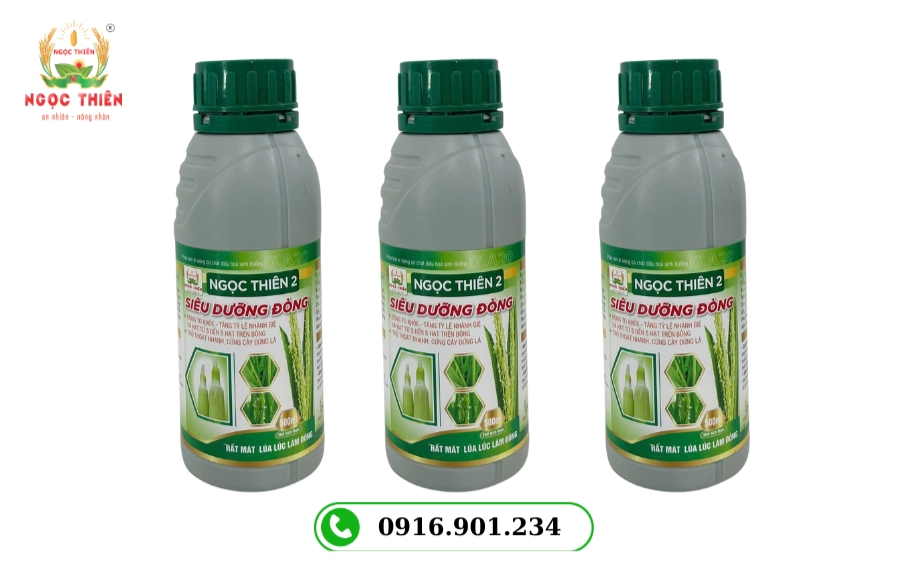 Phân Bón Lá Rước Đòng: Giải Pháp Vàng Tăng Năng Suất