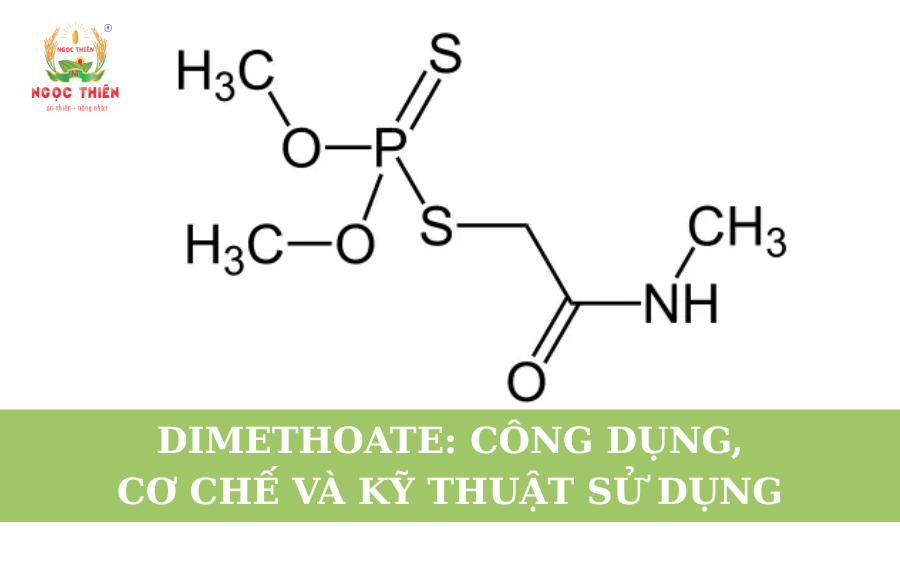 Dimethoate: Công Dụng, Cơ Chế Và Kỹ Thuật Sử Dụng