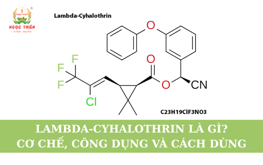 Lambda-Cyhalothrin Là Gì? Cơ Chế, Công Dụng Và Cách Dùng