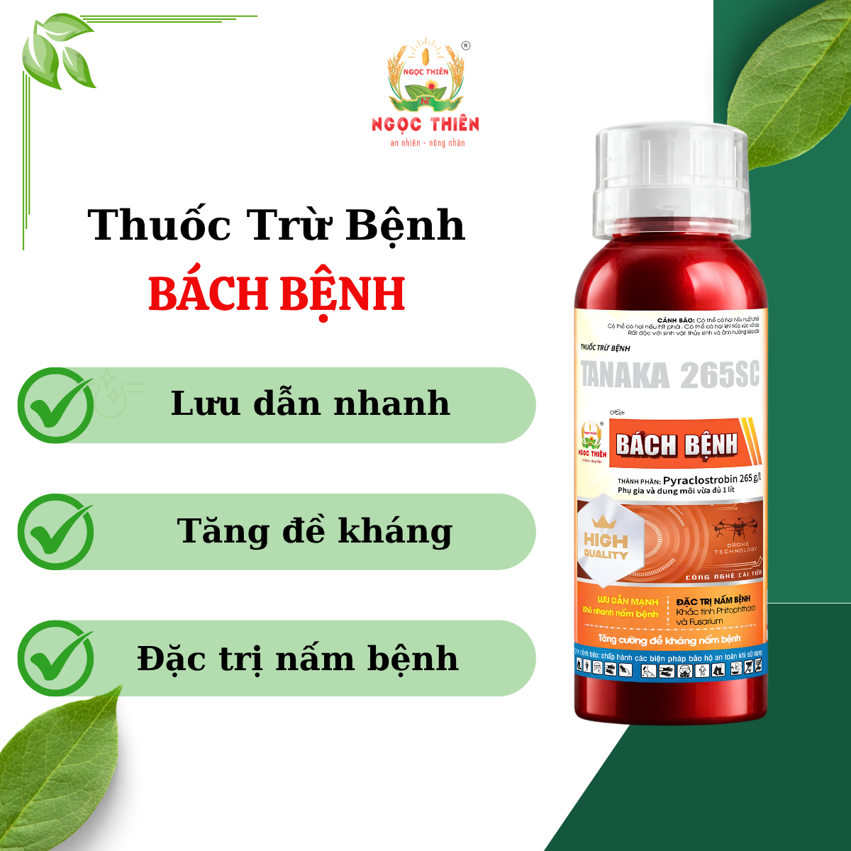 Thuoc-Tru-Benh-Bach-Benh THUỐC TRỪ BỆNH BÁCH BỆNH