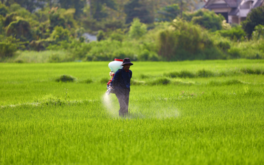 Hoạt Chất Chlorfenapyr: Cơ Chế, Công Dụng Và Lưu Ý