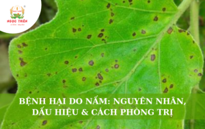Bệnh Hại Do Nấm: Nguyên Nhân, Dấu Hiệu Và Cách Phòng Trị
