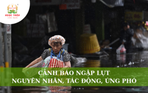 Cảnh Báo Ngập Lụt: Nguyên Nhân, Tác Động Và Cách Ứng Phó