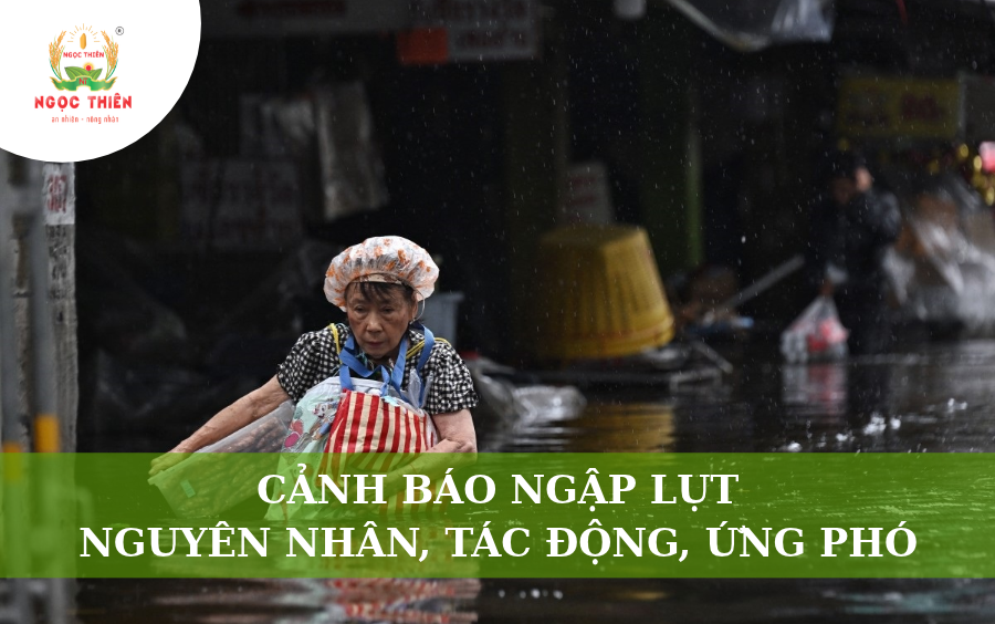 Cảnh Báo Ngập Lụt: Nguyên Nhân, Tác Động Và Cách Ứng Phó
