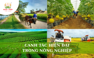 Canh Tác Hiện Đại Trong Nông Nghiệp
