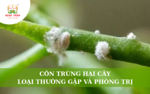 Côn Trùng Hại Cây: Các Loại Thường Gặp Và Cách Phòng Trị
