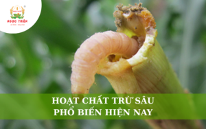 Hoạt Chất Trừ Sâu Phổ Biến Hiện Nay