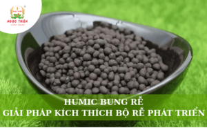 Humic Bung Rễ: Giải Pháp Kích Thích Bộ Rễ Phát Triển