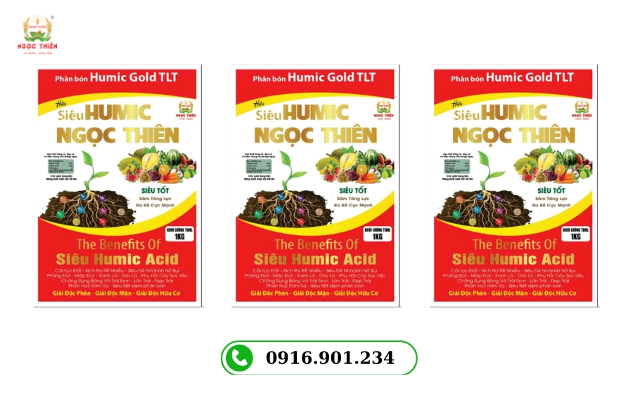 Humic Bung Rễ: Giải Pháp Kích Thích Bộ Rễ Phát Triển