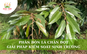 Phân Bón Lá Chặn Đọt: Giải Pháp Kiểm Soát Sinh Trưởng
