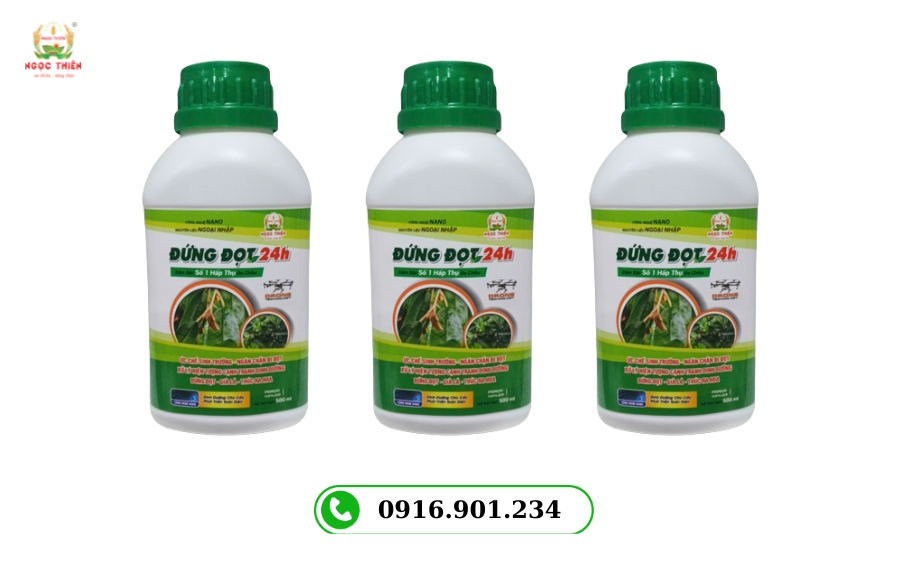 Phân Bón Lá Chặn Đọt: Giải Pháp Kiểm Soát Sinh Trưởng