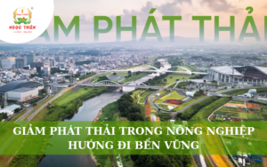 Giảm Phát Thải Trong Nông Nghiệp: Hướng Đi Bền Vững