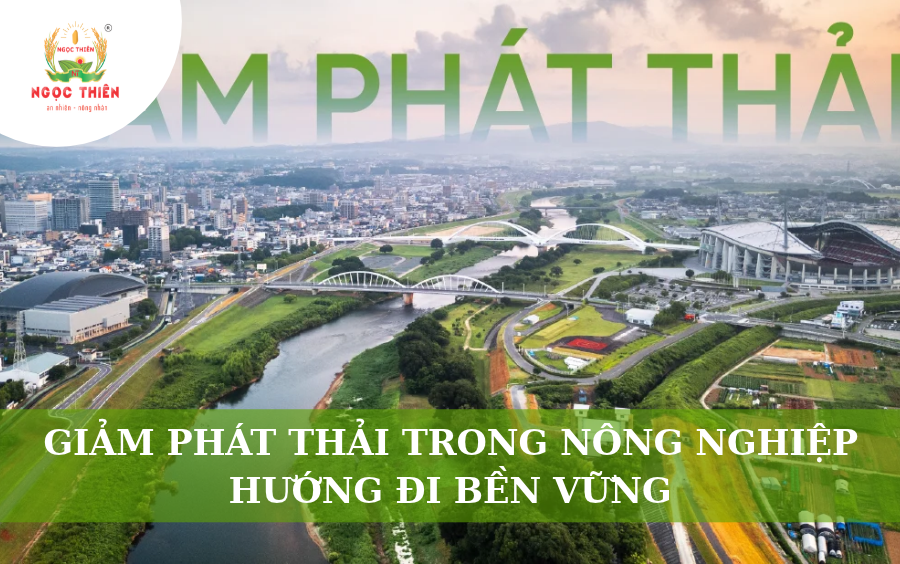 Giảm Phát Thải Trong Nông Nghiệp: Hướng Đi Bền Vững