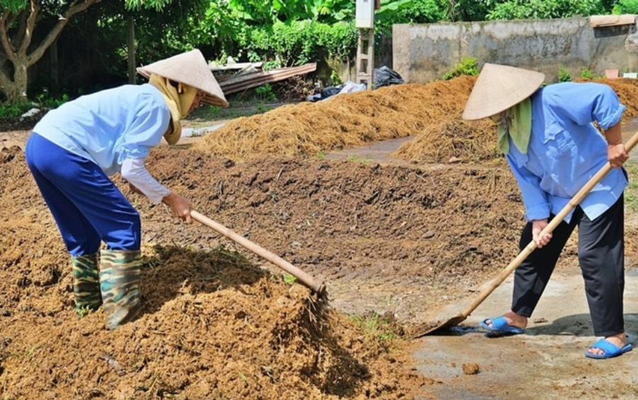 Xử Lý Rơm Rạ: Giải Pháp Cải Tạo Đất Cho Vụ Lúa Mới