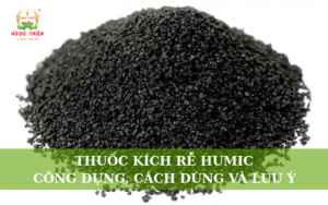 Thuốc Kích Rễ Humic: Công Dụng, Cách Dùng Và Lưu Ý