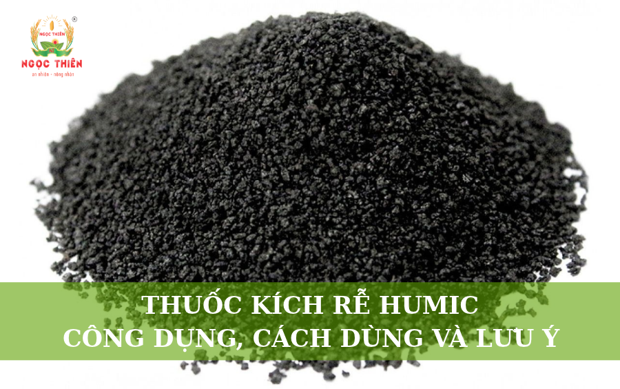 Thuốc Kích Rễ Humic: Công Dụng, Cách Dùng Và Lưu Ý