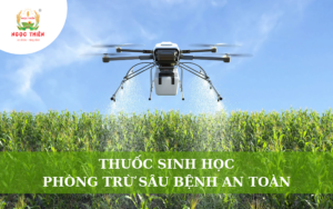 Thuốc Sinh Học: Giải Pháp Phòng Trừ Sâu Bệnh An Toàn