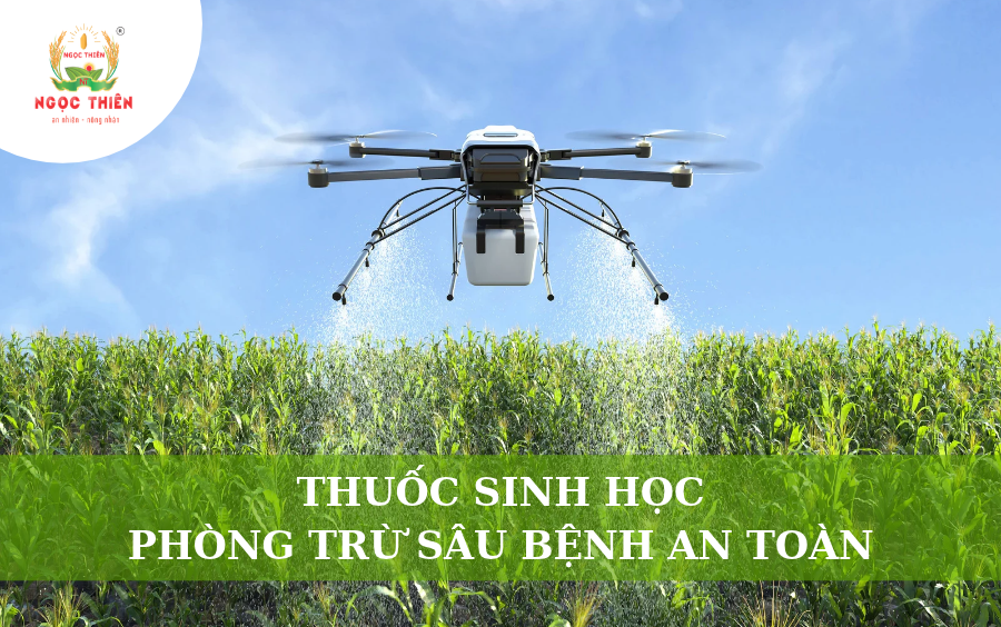 Thuốc Sinh Học: Giải Pháp Phòng Trừ Sâu Bệnh An Toàn